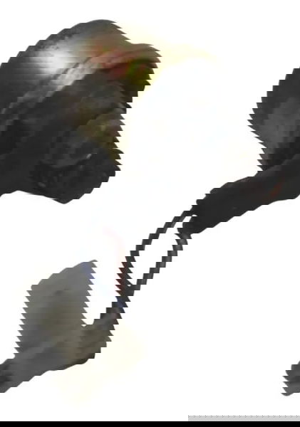 Rele Partida Yamaha Virago Xv 535 94-02 Original