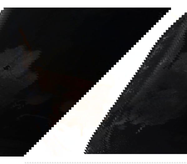 Tanque Inferior C/avaria Yamaha Virago Xv 535 94-02 Original