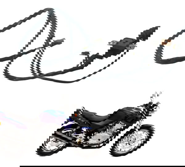 Pulsador C/chicote Óleo Honda Cb 500 Cb500 98-05 Original