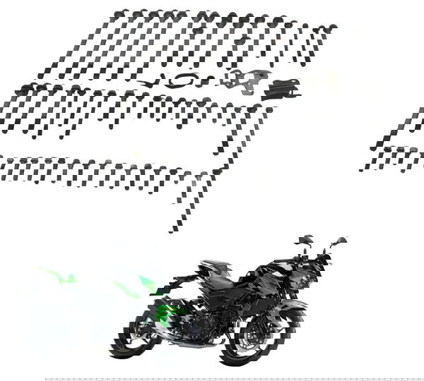 Kit Parafuso Motor Kawasaki Ninja Z 400 19-23 Original