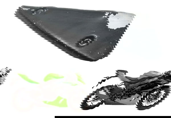 Capa Proteção Ponteira Escape C/ Det Kawasaki Zx6r 08-12 Ori
