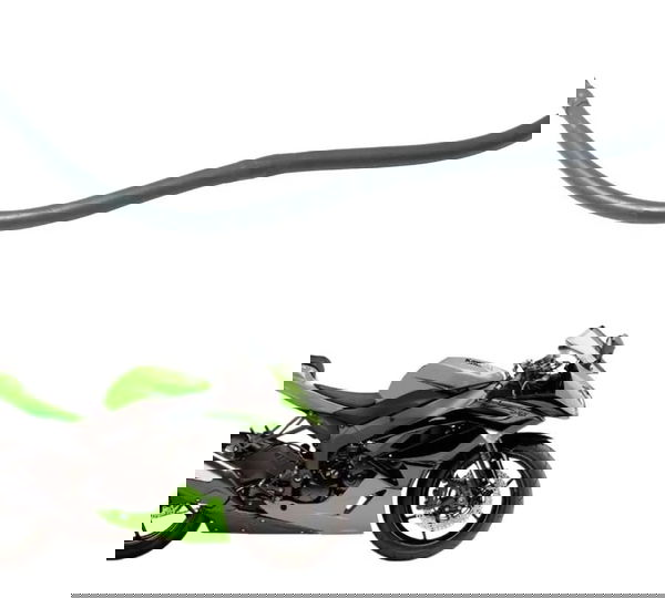 Flexível Freio Traseiro Kawasaki Zx6r 08-12 Original