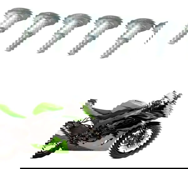 Jogo Parafuso Tampa Cabeçote Kawasaki Zx6r 08-12 Original