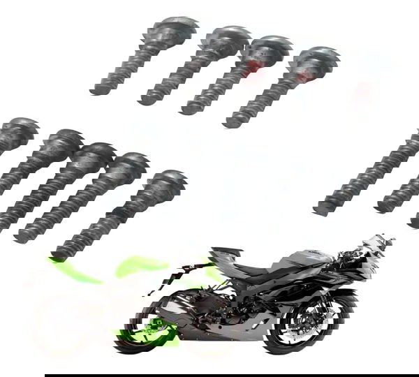 Jogo Parafuso Suporte Pedaleira Kawasaki Zx6r 08-12 Original Prata