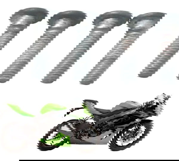 Jogo Parafuso Disco Freio Traseiro Kawasaki Zx6r 08-12 Origi