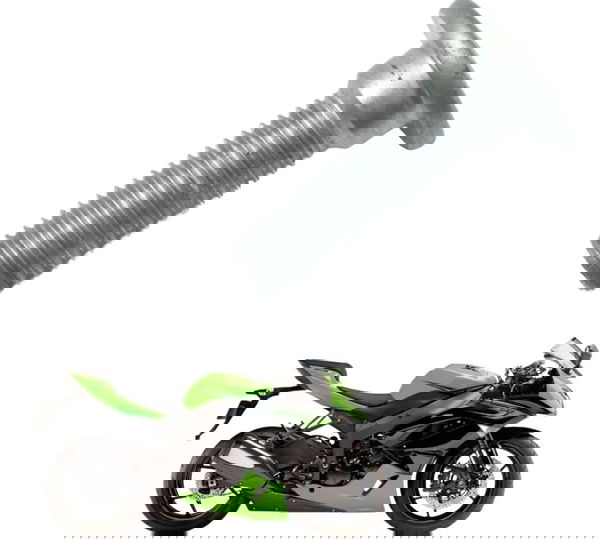 Parafuso Disco Freio Dianteiro Kawasaki Zx6r 08-12 Original