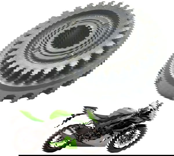 Placa Partida Kawasaki Zx6r 08-12 Original