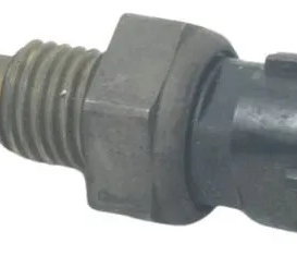 Sensor Temperatura Kawasaki Zx6r 08-12 Original