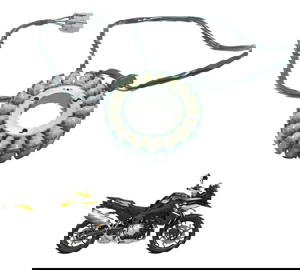 Estator Bmw F 750 Gs 18-22 Original