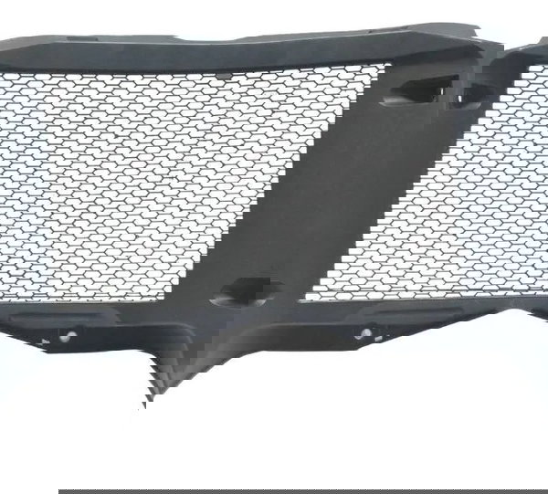 Grade Radiador Bmw F 750 Gs 18-22 Original