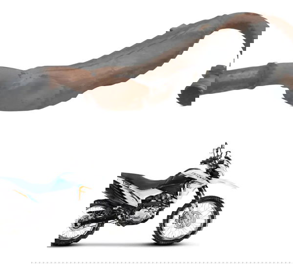 Curva Escape Honda Nxr 160 Bros 15-23 Original