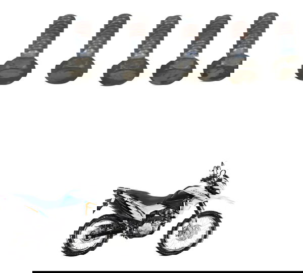 Kit Parafuso Disco Dianteiro Honda Nxr 160 Bros 15-23 Orig