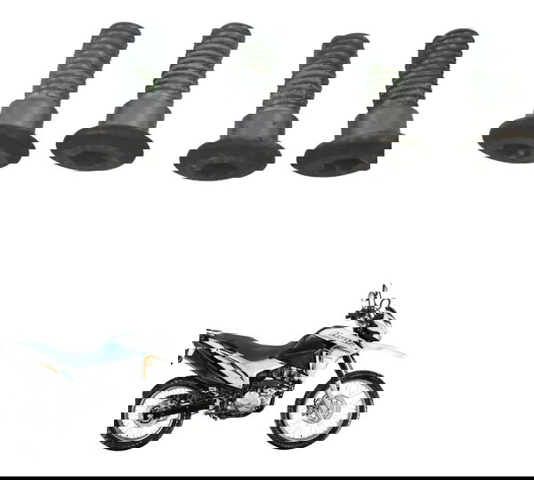 Kit Parafuso Disco Freio Tras Honda Nxr 160 Bros 15-23 Orig