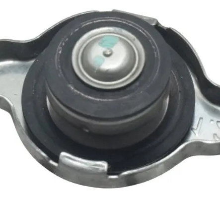 Tampa Radiador Bmw F 750 Gs 18-22 Original