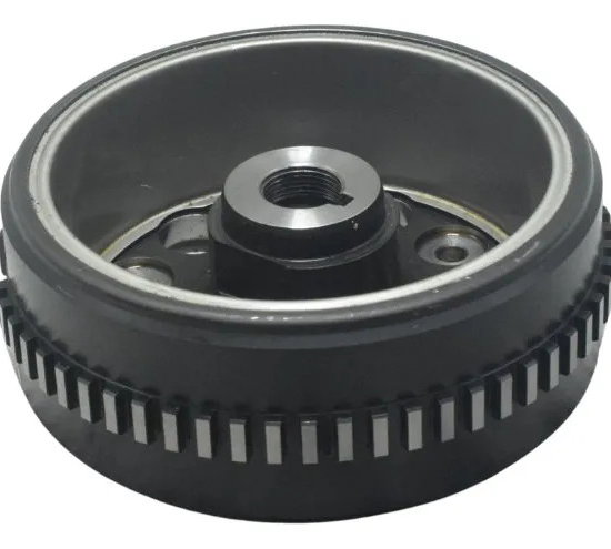 Volante Magneto Bmw F 750 Gs 18-22 Original