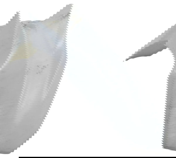 Paralama Dianteiro C/ Detalhes Honda Nxr 160 Bros 15-23 Orig Dianteira Direita