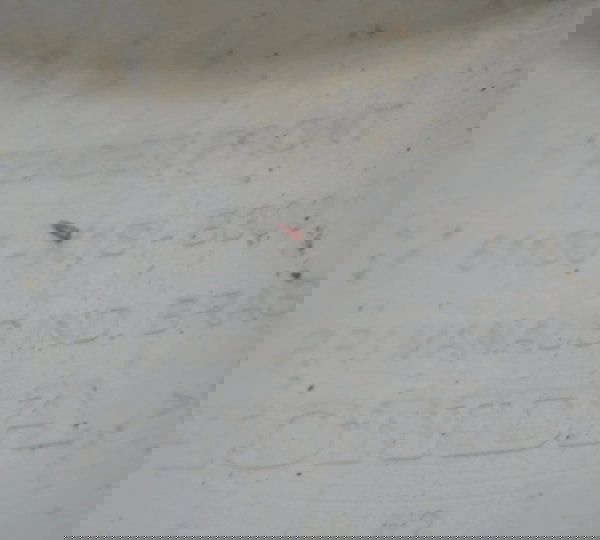 Paralama Dianteiro C/ Detalhes Honda Nxr 160 Bros 15-23 Orig Dianteira Direita