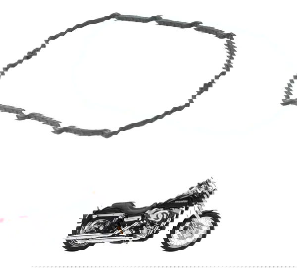 Borracha Vedação Bomba Combustível Harley Dyna 08-11 Origina