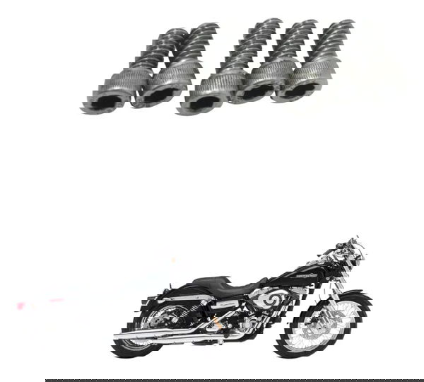 Jogo Parafuso Tampa Inspeção Harley Dyna 08-11 Original