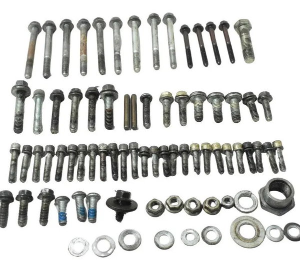 Kit Parafuso Diversos Harley Dyna 08-11 Original