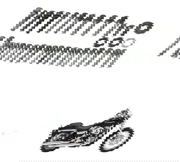 Kit Parafuso Motor Harley Dyna 08-11 Original