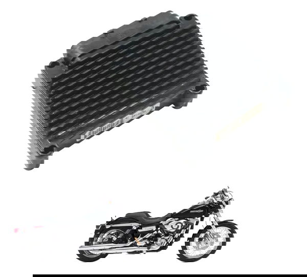 Modulo Ecm Harley Dyna 08-11 Original