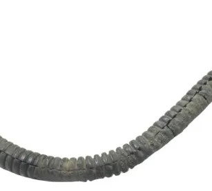 Sensor Ckp Harley Dyna 08-11 Original