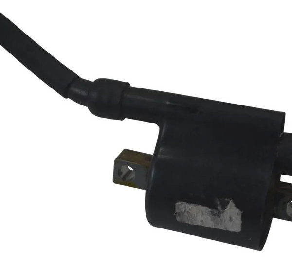 Par Bobina Ignição Bajaj Dominar 400 23-25 Original