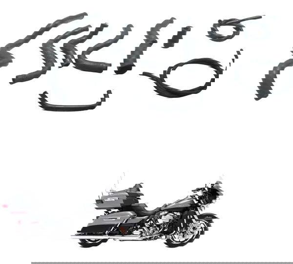 Kit Mangueiras Harley Electra Glide Limited 14-17 Original