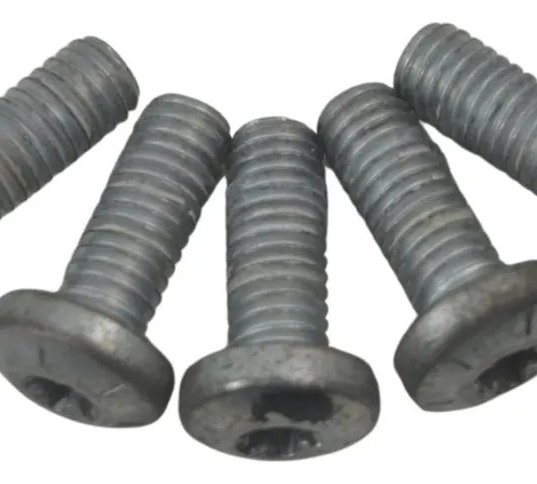 Jogo Parafuso Disco Freio Tras Harley Xl 1200 Cb 14-16 Origi