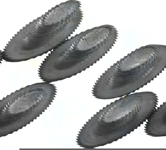 Jogo Parafuso Disco Freio Tras Harley Xl 1200 Cb 14-16 Origi