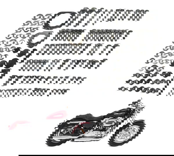 Kit Parafusos Diversos Harley Xl 1200 Cb 14-16 Original