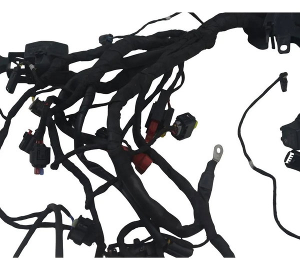 Chicote Principal C/ Avaria Bmw R 1300 Gs 24-26 Original