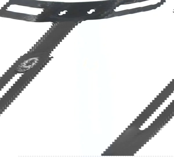 Suporte Placa C/avaria Harley Xl 1200 Cb 14-16 Original