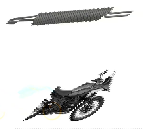 Mola Pedal Descanso Lateral Bmw R 1300 Gs 24-26 Original