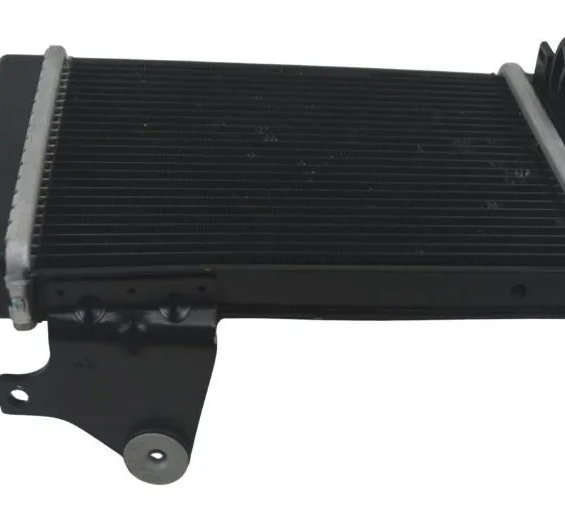 Radiador Direito C/ Detalhes Bmw R 1300 Gs 24-26 Original