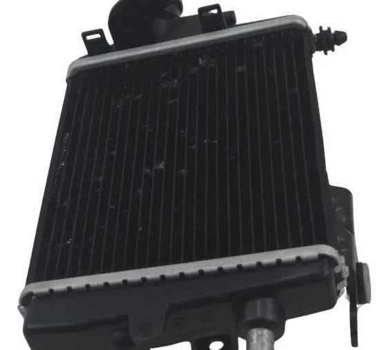 Radiador Direito C/ Detalhes Bmw R 1300 Gs 24-26 Original