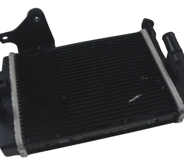 Radiador Direito C/ Detalhes Bmw R 1300 Gs 24-26 Original