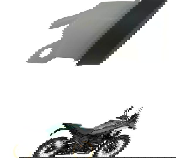 Reservatório Freio Traseiro Bmw R 1300 Gs 24-26 Original