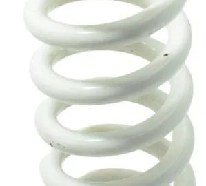 Mola Amortecedor Dianteiro Bmw R 1250 Gs 19-24 Original