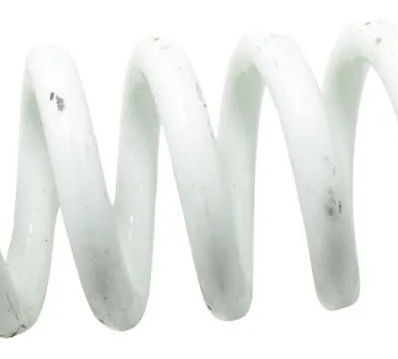 Mola Amortecedor Traseiro Bmw R 1250 Gs 19-24 Original