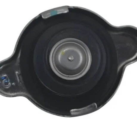 Tampa Radiador Bmw R 1300 Gs 24-26 Original