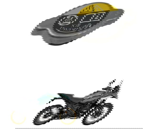 Tampa Radiador Bmw R 1300 Gs 24-26 Original