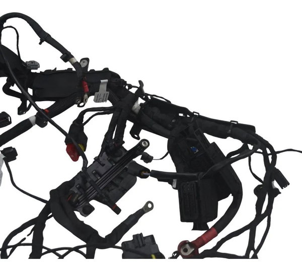 Chicote Principal Bmw R 1300 Gs Triple Black 24-26 Original