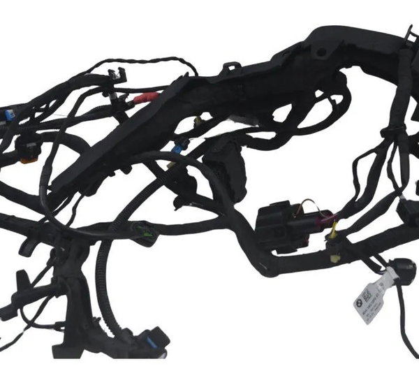 Chicote Principal Bmw R 1300 Gs Triple Black 24-26 Original