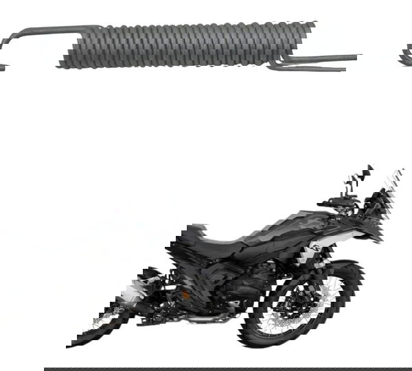 Mola Pedal Descanso Lateral Bmw R 1300 Gs Triple Black 24-26