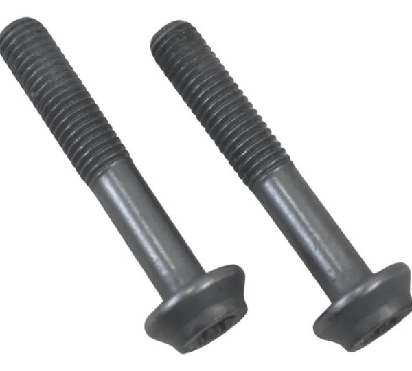 Par Parafuso Pinça Freio Diant Bmw R 1300 Gs Triple Black