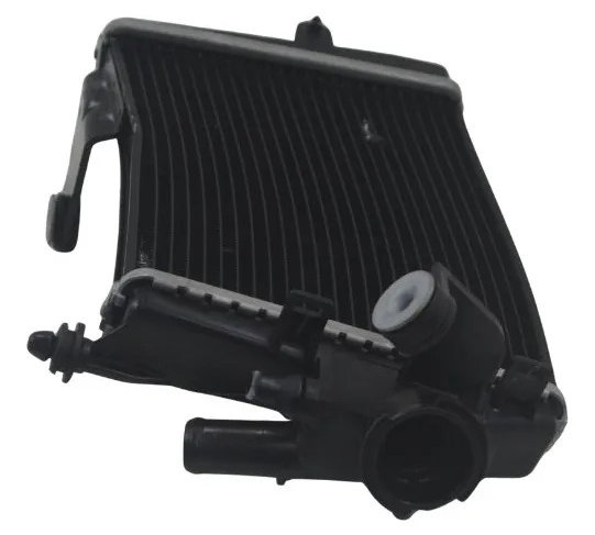 Radiador Dir C/avaria Bmw R 1300 Gs Triple Black 24-26 Origi