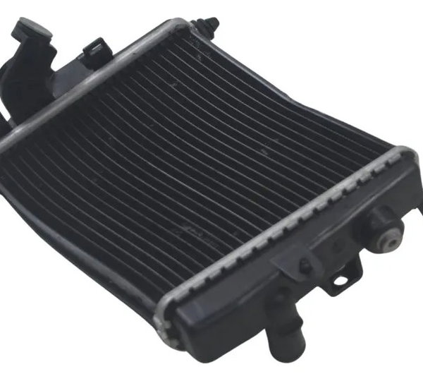 Radiador Dir C/avaria Bmw R 1300 Gs Triple Black 24-26 Origi