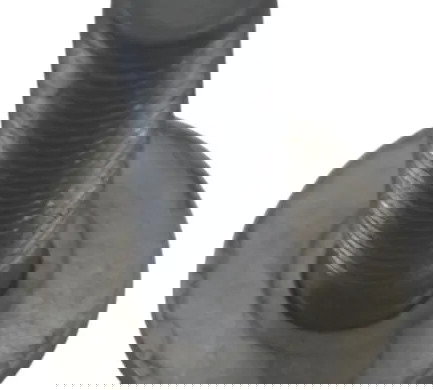 Parafuso Volante Magneto Suzuki Gsx 650 F 09-15 Original